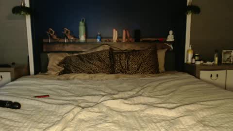 Snapshot of ivydreams chatting on December 24, 2024, 3:27 am Ivy Dreams online show from December 24, 2024, 3:27 am