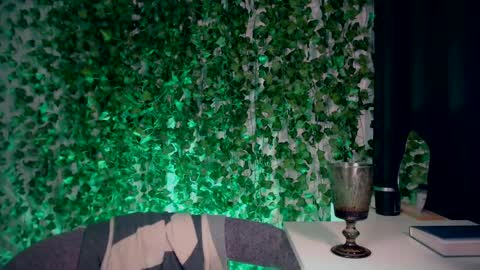 Snapshot of ivyjonson chatting on December 28, 2024, 7:54 pm Miss Ivy online show from December 28, 2024, 7:54 pm