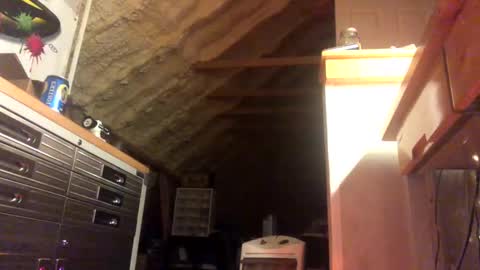 That  Guy  online show from January 28, 2025, 2:11 am