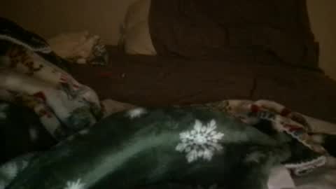 Snapshot of j_reyes24 chatting on January 23, 2025, 6:45 pm j_reyes24 online show from January 23, 2025, 6:45 pm