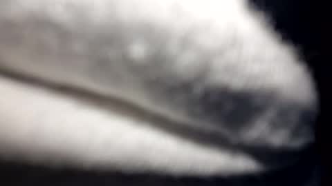 Snapshot of jack5ddddd chatting on March 26, 2026, 12:00 pm jack5ddddd online show from March 26, 2026, 12:00 pm