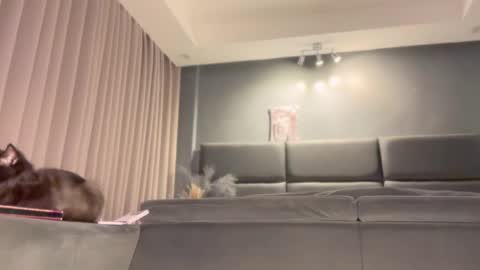 jacolandia online show from February 23, 2025, 6:56 pm