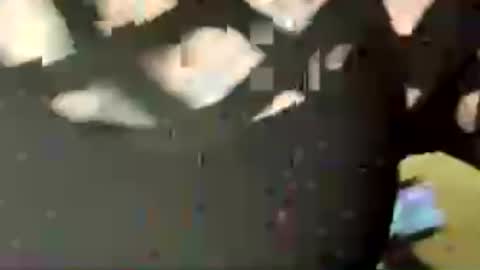 jadedrose88 online show from August 2, 2026, 2:04 pm