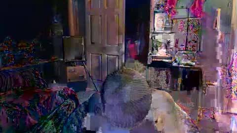 Jade online show from February 16, 2026, 10:50 pm