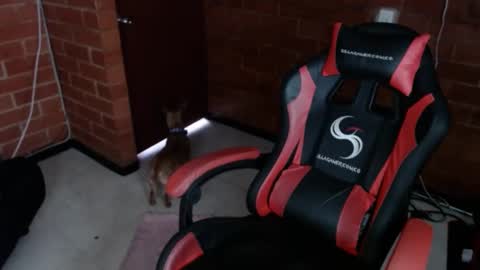 jadesexfun online show from March 12, 2025, 2:45 pm