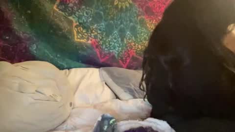 Jadexbabe online show from January 27, 2025, 11:54 am