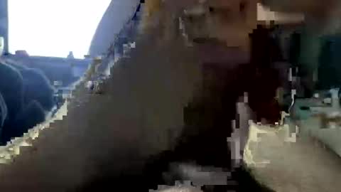Snapshot of jalenwnut chatting on May 25, 2026, 4:29 am jalenwnut online show from May 25, 2026, 4:29 am