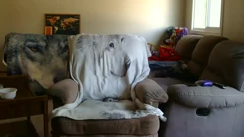 jameswolf777 online show from September 9, 2025, 5:34 pm