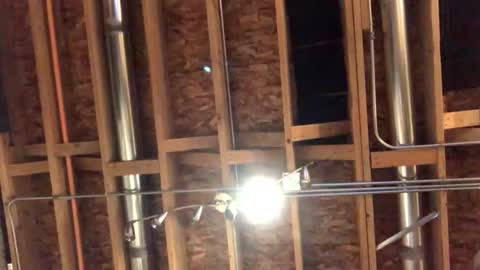 jamie19905 online show from October 29, 2025, 2:25 am