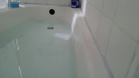 Bootyshows online show from February 22, 2026, 2:48 pm