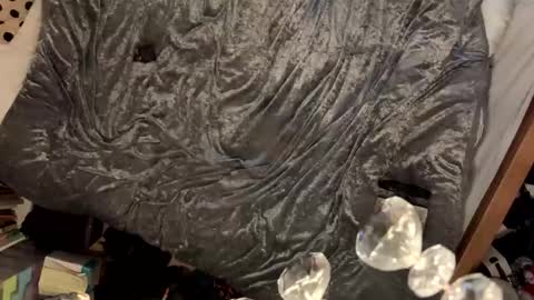 janetrans84 online show from January 21, 2025, 11:03 am