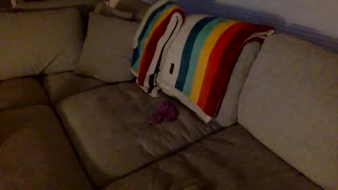 janicepepper online show from December 18, 2025, 10:32 am