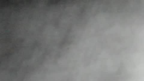 jared_blake online show from January 8, 2025, 4:34 am