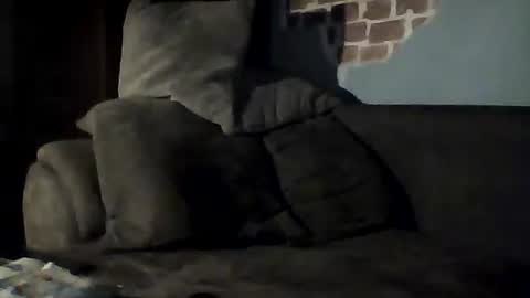 Jan88 online show from February 22, 2025, 9:04 pm