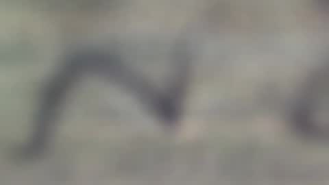 Snapshot of jason2019845210 chatting on October 29, 2025, 11:50 pm jason2019845210 online show from October 29, 2025, 11:50 pm