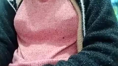 jasspreettt online show from December 26, 2024, 3:16 am