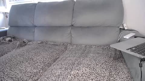 Javier  online show from December 7, 2024, 4:47 pm