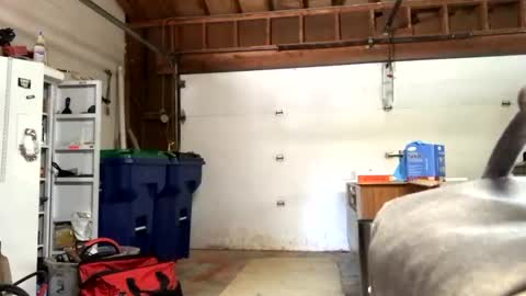 Snapshot of jawssharkparty chatting on September 12, 2025, 7:36 pm Jaws  online show from September 12, 2025, 7:36 pm