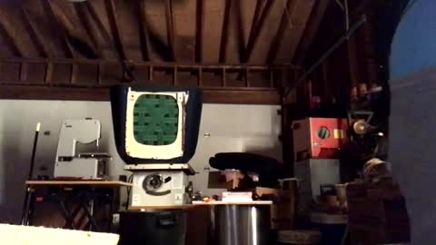 Snapshot of jawssharkparty chatting on October 11, 2025, 4:22 am Jaws  online show from October 11, 2025, 4:22 am