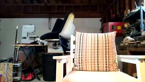 Snapshot of jawssharkparty chatting on October 14, 2025, 3:57 pm Jaws  online show from October 14, 2025, 3:57 pm