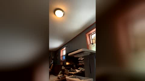 Snapshot of jawssharkparty chatting on January 17, 2026, 4:54 pm Jaws online show from January 17, 2026, 4:54 pm