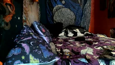 Snapshot of jax_skyfallin chatting on February 12, 2025, 10:46 am jaxxx666 online show from February 12, 2025, 10:46 am