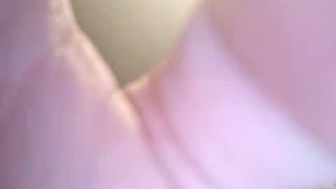 jay56777543234 online show from February 8, 2026, 11:24 am