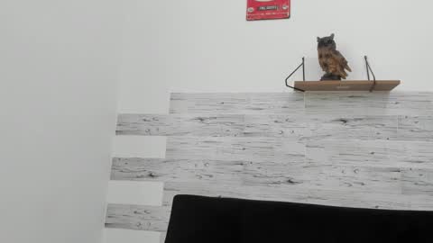 Jaycreedd online show from November 2, 2025, 4:42 pm