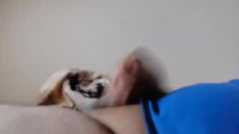 jayl458 online show from March 10, 2025, 10:59 am