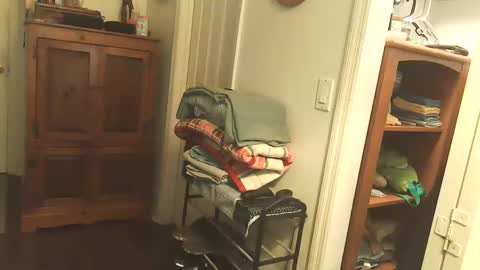 Snapshot of jcalabraro chatting on May 26, 2026, 5:58 am jeezy online show from May 26, 2026, 5:58 am