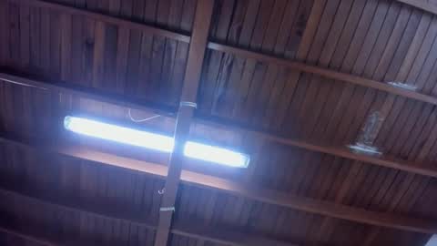 jeicob gagnon online show from January 30, 2025, 4:24 pm