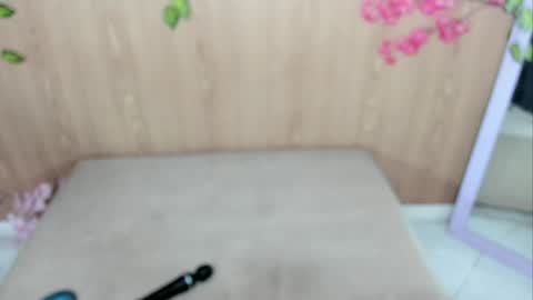 Snapshot of jenelotizz06 chatting on May 4, 2026, 12:50 am Jenelotizz online show from May 4, 2026, 12:50 am