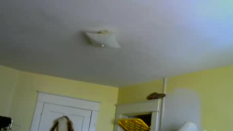 Jenn -  come to my onlyfans online show from April 10, 2026, 2:44 pm