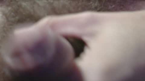 Snapshot of jerkingtyce chatting on May 3, 2026, 3:12 am jerkingtyce online show from May 3, 2026, 3:12 am