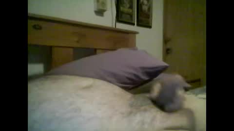 jerkmate6666 online show from October 14, 2025, 2:34 am