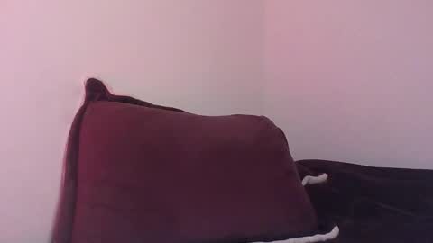 Snapshot of jessepickman chatting on December 29, 2024, 9:39 am Angel  Demon online show from December 29, 2024, 9:39 am