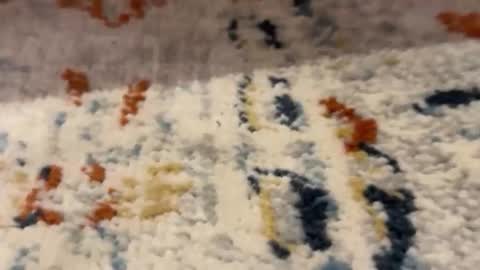 me online show from March 11, 2026, 11:44 pm