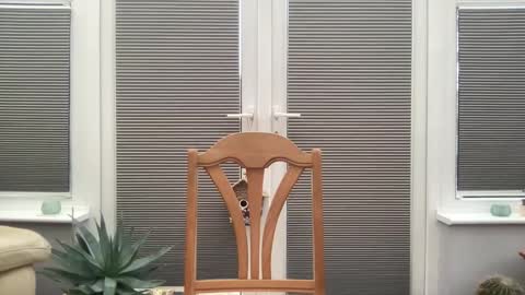 Jigz1986 online show from February 10, 2025, 3:53 pm