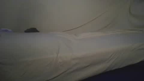 Snapshot of jimmyshelby12 chatting on June 11, 2026, 4:05 pm jimmyshelby12 online show from June 11, 2026, 4:05 pm