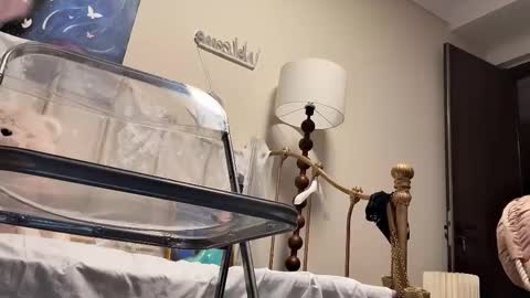 Snapshot of jingyan666 chatting on February 4, 2026, 2:45 pm meng meng online show from February 4, 2026, 2:45 pm