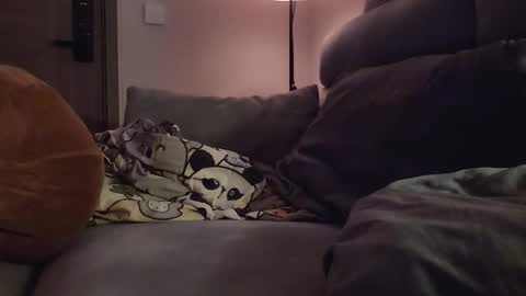 jj_jayjayq online show from February 8, 2026, 12:19 pm