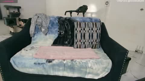 Snapshot of jjjust4fun1985 chatting on January 2, 2025, 1:27 am Nicole Allen online show from January 2, 2025, 1:27 am