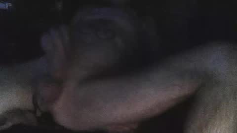 Snapshot of jjohnathan529 chatting on February 24, 2025, 7:11 am jjohnathan529 online show from February 24, 2025, 7:11 am