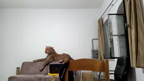 jlmbud online show from October 20, 2025, 12:33 am