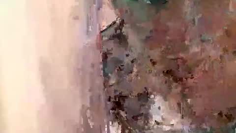 jmartel92 online show from February 4, 2025, 5:21 am