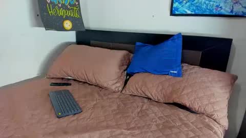 Snapshot of joalremu11_ink chatting on February 26, 2026, 5:34 pm ale online show from February 26, 2026, 5:34 pm