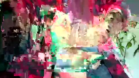 joeblow2525 online show from October 4, 2025, 12:25 pm