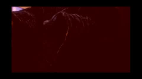 Joeygumbo online show from January 3, 2025, 2:19 pm