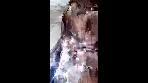 johan3084 online show from April 9, 2026, 9:31 pm