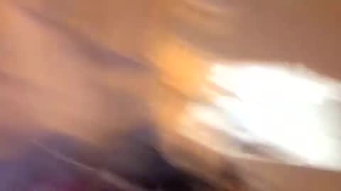 john0131739980 online show from September 19, 2025, 6:37 am